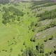 Green Meadows in The Sparsely Wooded Between Forest Covered Hills with Aerial View - VideoHive Item for Sale
