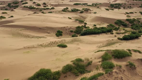 Aerial Top View on Sand Dunes with Grass