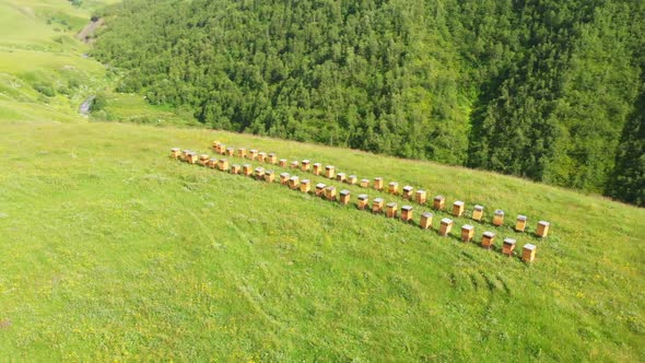 Aerial Circle Around Bee Hives