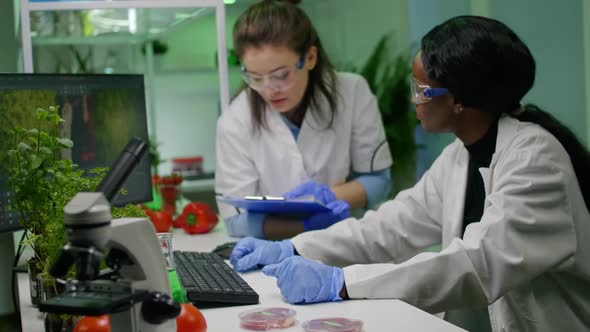 Medical Team Researchers Analyzing Botany Expertise on Computer