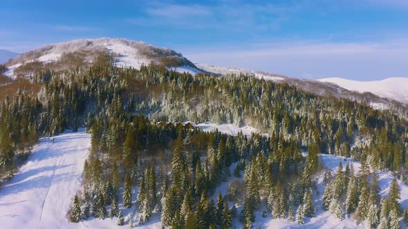 Misty Valley Over Snowcovered Mountains and Green Forests