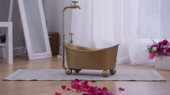 Living Room with Golden Baby Bath and Red Rose Petals Falling in Slow Motion