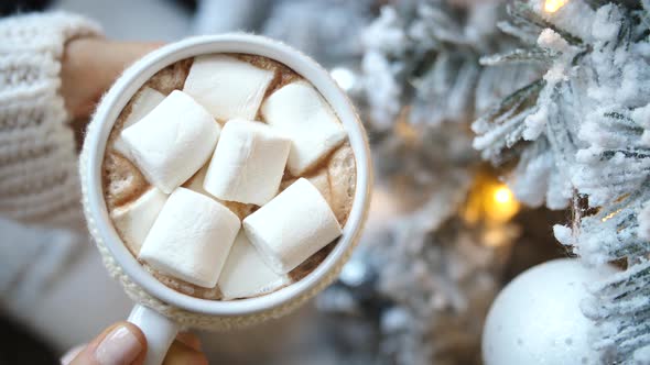 Closeup Cup Of Hot Chocolate With Marshmellow Near Christmas Tree
