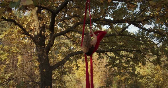 The Graceful Female Aerial Gymnast Performs An Acrobatic Trick