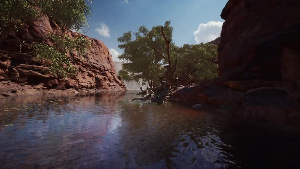 Colorado River Flows Through the Grand Canyon