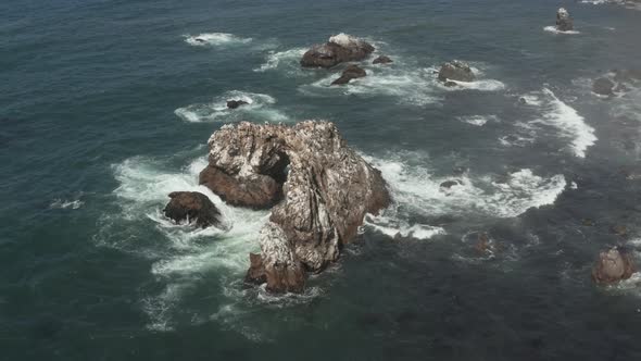 Birds sitting on Arched Rock on the ocean with waves crashing near the Beach Bodega Bay Highway 1 in