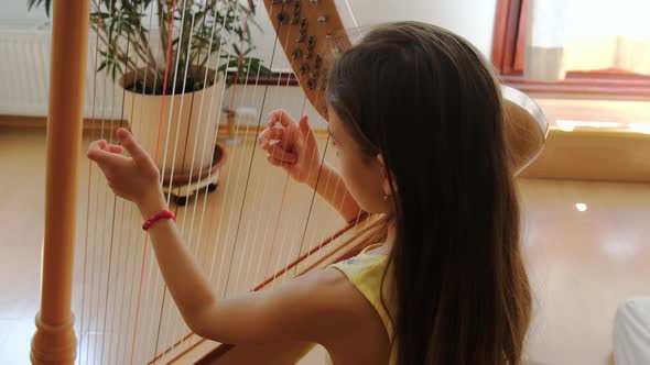 The Child Plays the Harp