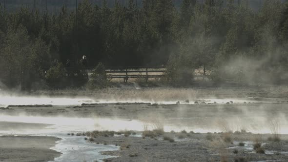 Steaming ponds in Yellowstone National Park