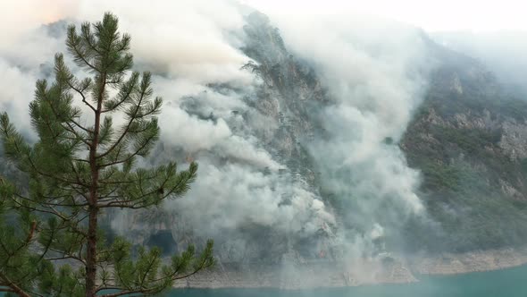 Plumes of white smoke rising from burning forest. Catastrophic fire caused by climate change