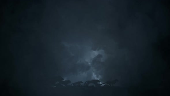 Big Pack Of Wolves Running Through An Epic Lightning Storm