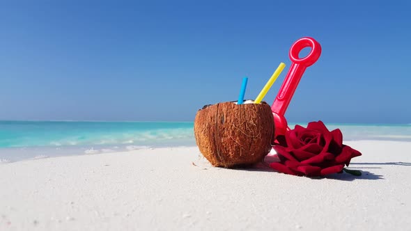 Aerial view scenery of relaxing coast beach wildlife by blue sea and white sand background of a dayo