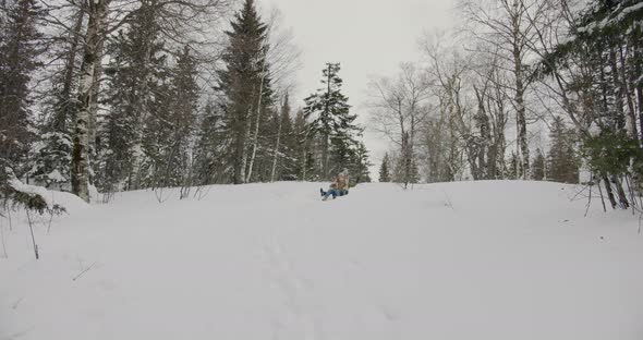 Slow Motion of Young Women Friends Sledding Down the Hill in Winter Forest and Laughing
