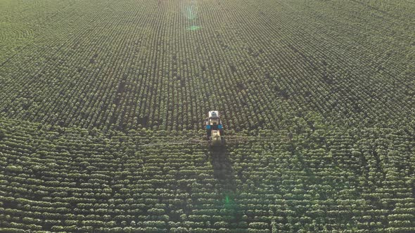 Aerial View on Agricultural Tractor Working in the Field at Sunset.