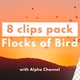 Flocks of Flying Birds (alpha channel) - VideoHive Item for Sale