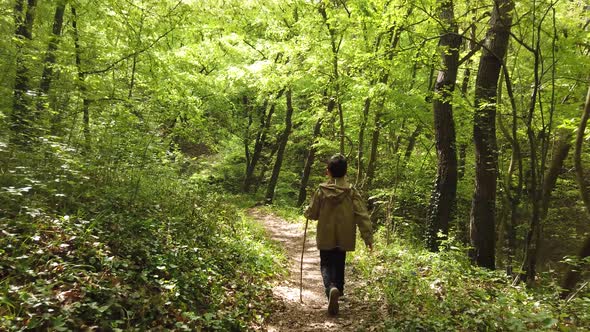 Little boy is walking through the forest. Hiking in mountain with walking stick. Little discoverer