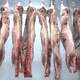 Carcass meat in cold storage room. Meat industry. - VideoHive Item for Sale