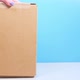 Courier Girl Passes Cardboard Box to Buyer - VideoHive Item for Sale