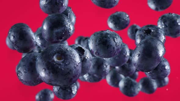 Flying of Blueberries in Fuschia Background