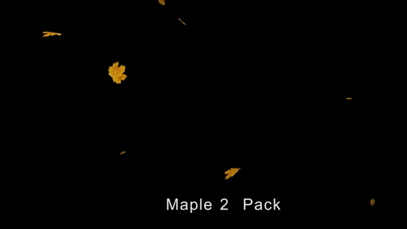 Maple leaves 4K alt