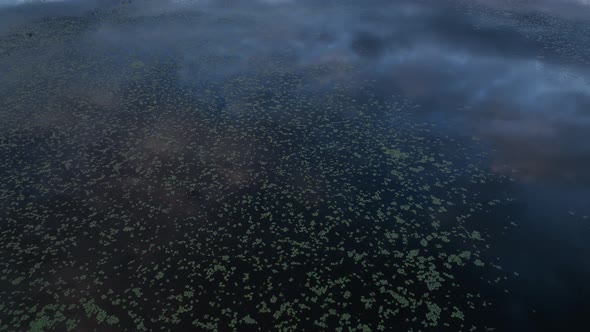 Algae sitting on surface of calm river reflection clouds