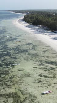 Tanzania  Vertical Video of the Ocean Near the Coast of Zanzibar Slow Motion