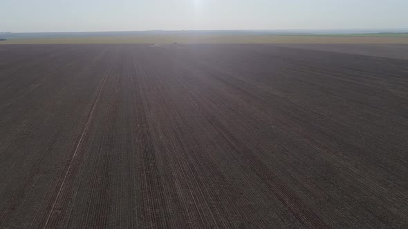 Vast soy crop field horizon aerial view landscape