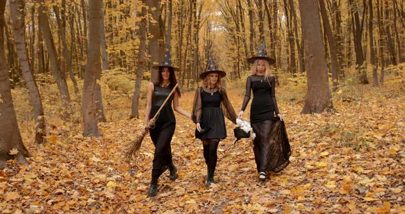 Three Wizzard Women Walking in Autumn Forest