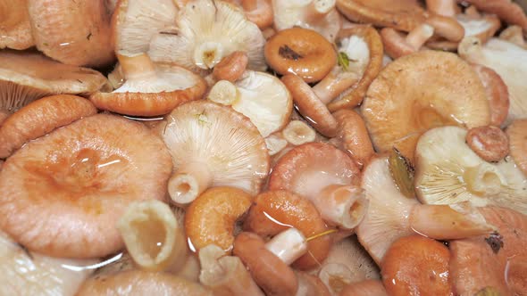 Closer Look of the Chopped Mushrooms in Espoo Finland
