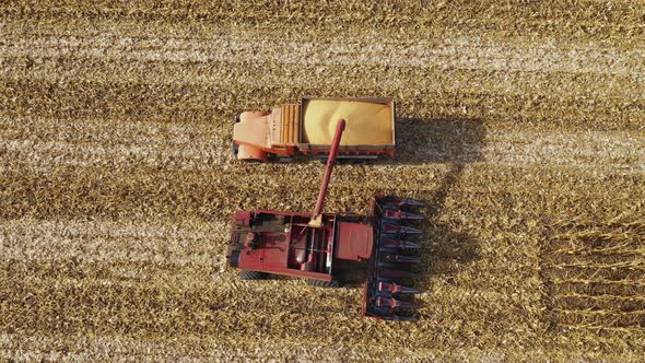 Harvester Pours Grain Into the Truck Aerial Top View