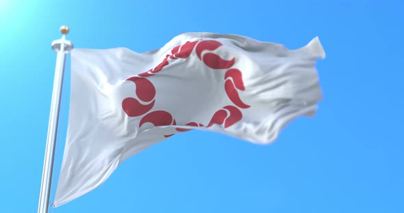 Saitama Flag, Japan