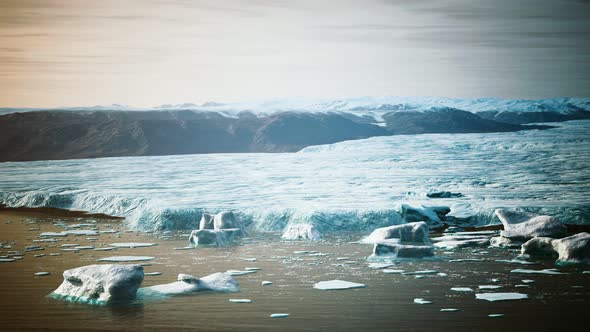 Many Melting Icebergs in Antarctica