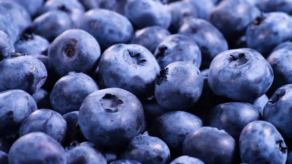 Blueberry Various Colorful Berries Closeup Juicy Ripe Summer Berry