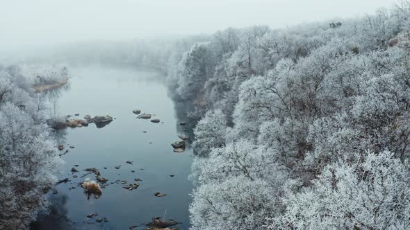 Snowy white forest near the river