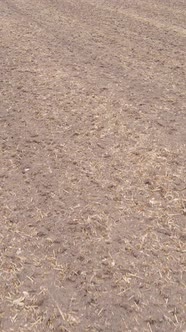 Vertical Video Empty Plowed Field in Autumn Aerial View