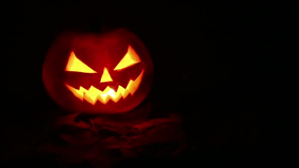 Scary glowing Halloween pumpkins in the night