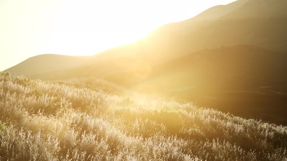 Sunset Over the Valley Fields