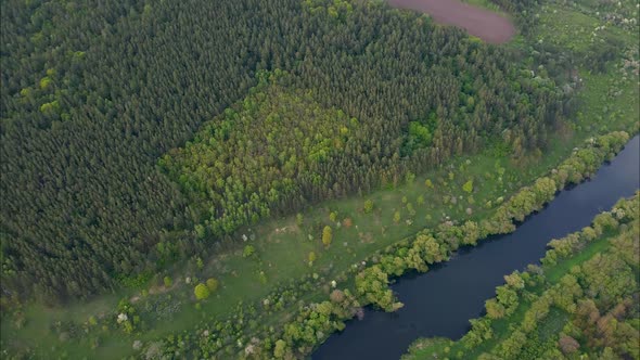 View of the river from above. Flight over water and forest trees from a height