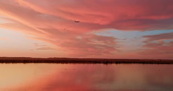 Long Shot of the Aircraft and Birds Flying Up in the Sky with a Colorful Sunset