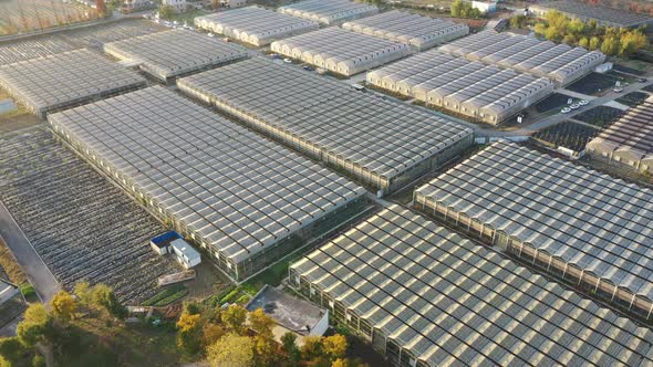 Countryside and vegetable greenhouses in the sunset