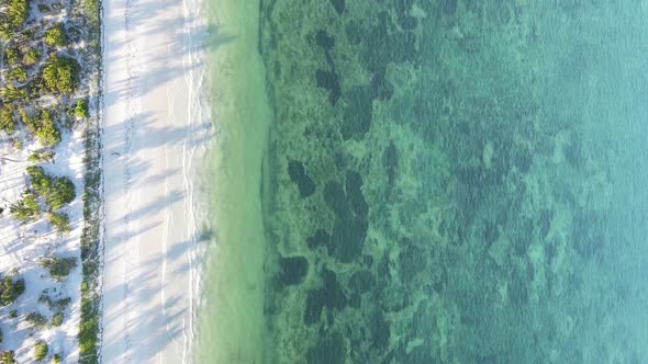 Vertical Video Boats in the Ocean Near the Coast of Zanzibar Tanzania Aerial View