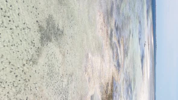 Vertical Video of Low Tide in the Ocean Near the Coast of Zanzibar Tanzania Aerial View