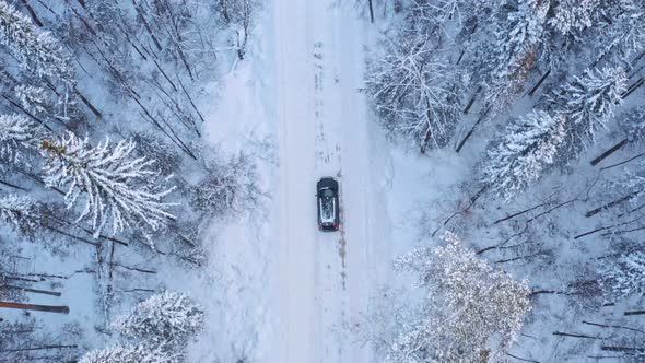 Lonely Vehicle Driving on Road in Winter Forest