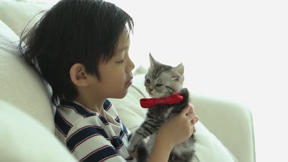 Asian Boy Playing With Kitten On Sofa At Home