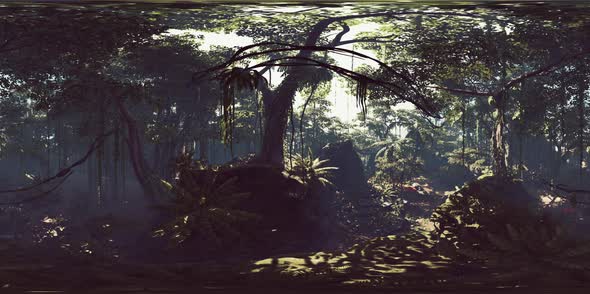 VR360 Deep Tropical Jungles of Asia