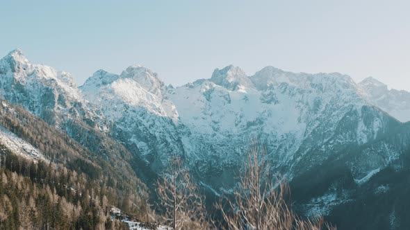 A drone flying through the tree branches with beautiful white snowy mountains in the background