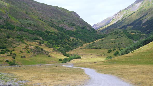 Peaceful mountains in greenery and sunlight