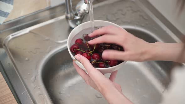 Careful lady holds bowl with red cherries and washes