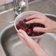 Careful lady holds bowl with red cherries and washes - VideoHive Item for Sale