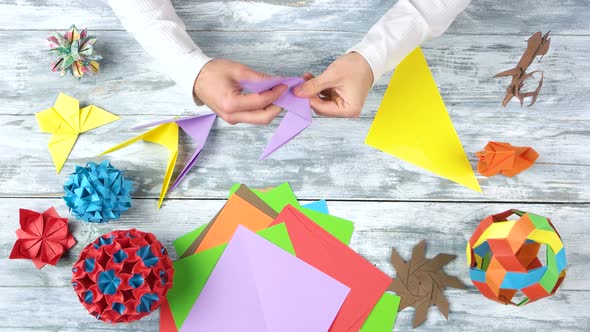 Hands Doing Origami Swallows.