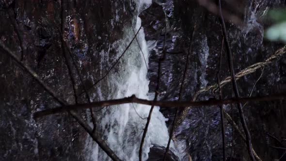 Vertical video of a river in hornopiren national park, south of chile